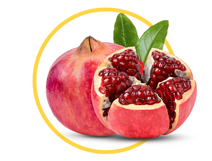 pomegranate circled photo