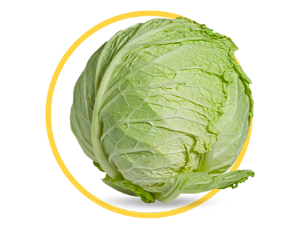 cabbage circled photo