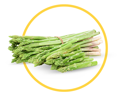 asparagus circled photo