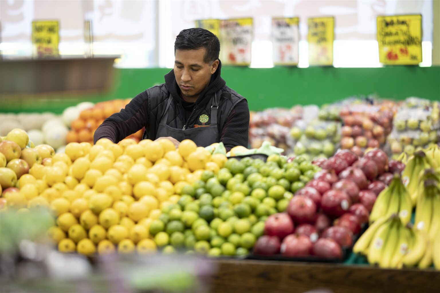 Our Produce Panama Banana Fresh Fine Produce In Chicago