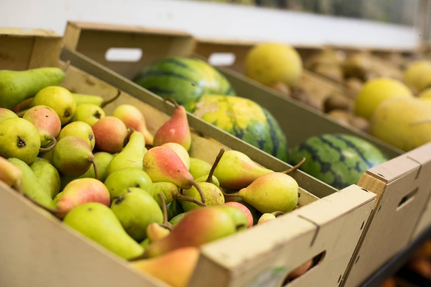 A Guide To Find The Best Wholesale Fruit Distributors
